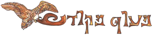 מרכז מעוף מקודש